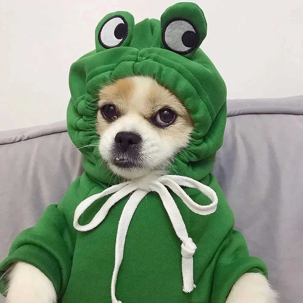 Dogs Clothes Luxury Apparels Accessories Apparel Home Dogs Sweater Pet Clothing Puppy Frogs Cute Hoodie Outfit Suit Jumper C251030