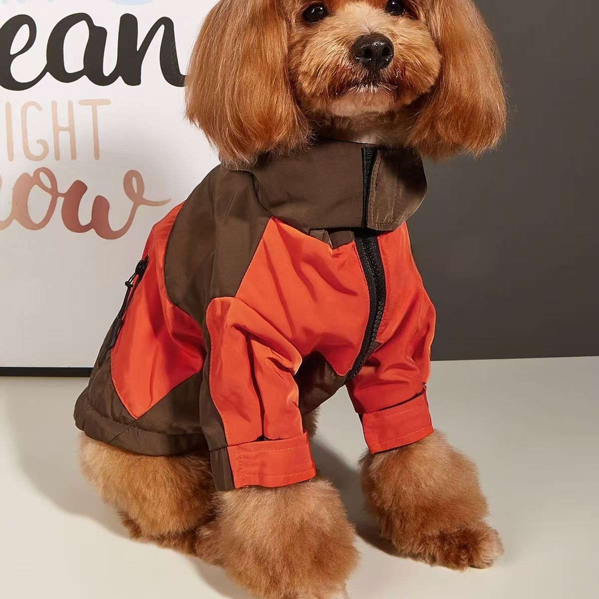 2025 new New Pet Supplies Jacket Autumn And Waterproof Raincoat Teddy Fashion Brand Designer Clothing Winter Warm Dog Clothes