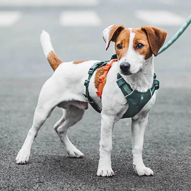 Crossborder leash breathable medium and large dog pet dog chest back explosionproof punch large dog chest strap outdoor vest t J251129