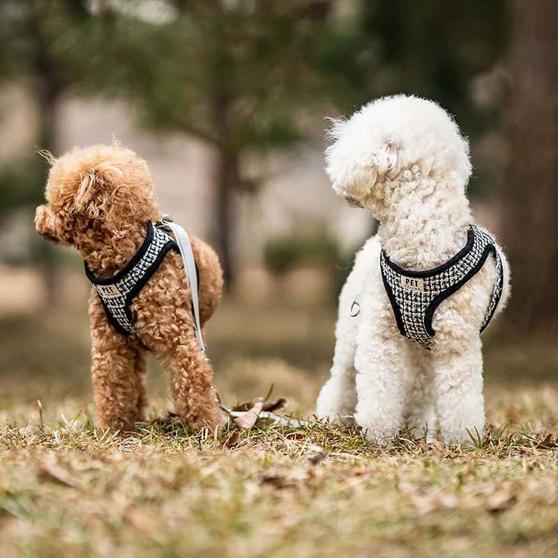 Dog Harness and Leash Breathable Soft Cat Harnesses Vest Lead For Small Medium Dogs Cats Dog Cat Accessories Pet Supplies J251129