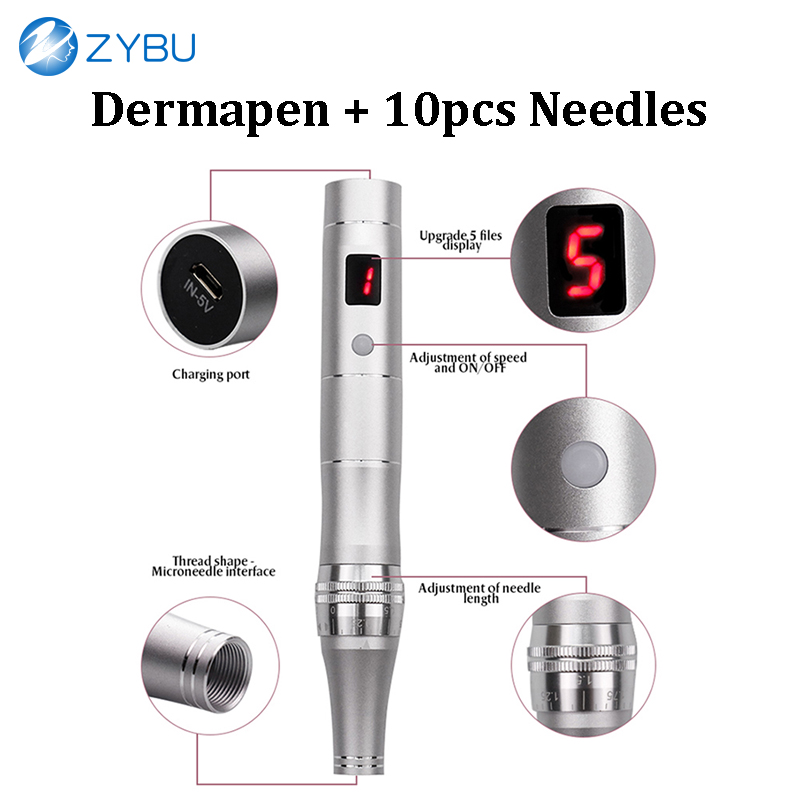 Wireless 5 Speed Dermapen Electric Auto Micro Needle Roller System Professional Mesotherapy Tool Skin Care MTS Derma Pen Microneedling Stamp with 10Pc