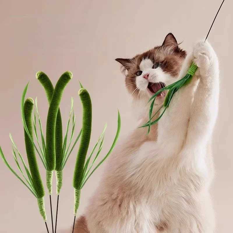 Cat and Dog Grass Chew Toy Teaser Stick Natural Bite Resistant Dental Teeth Cleaning Self Soothing Play Durable Pet Toys Cat Tea S251029