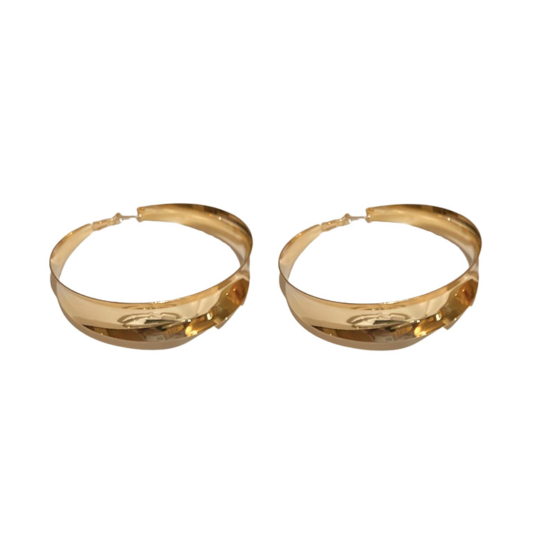 Sier Needle Exaggerated High-End Sense Plain Fashionable Elegant Stud Hoop Light Temperament Earrings for Women