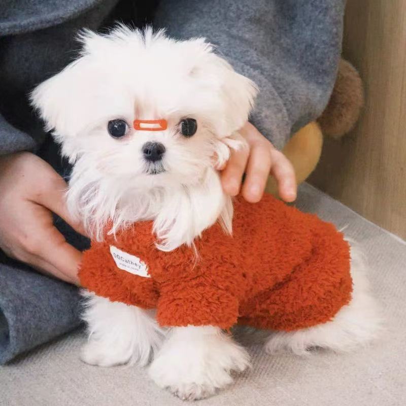 T1938 Yorkshire Terrier Clothing Autumn/Winter Extra Small Dog Maltese Winter Outfit Warm New Year Red Small Dog