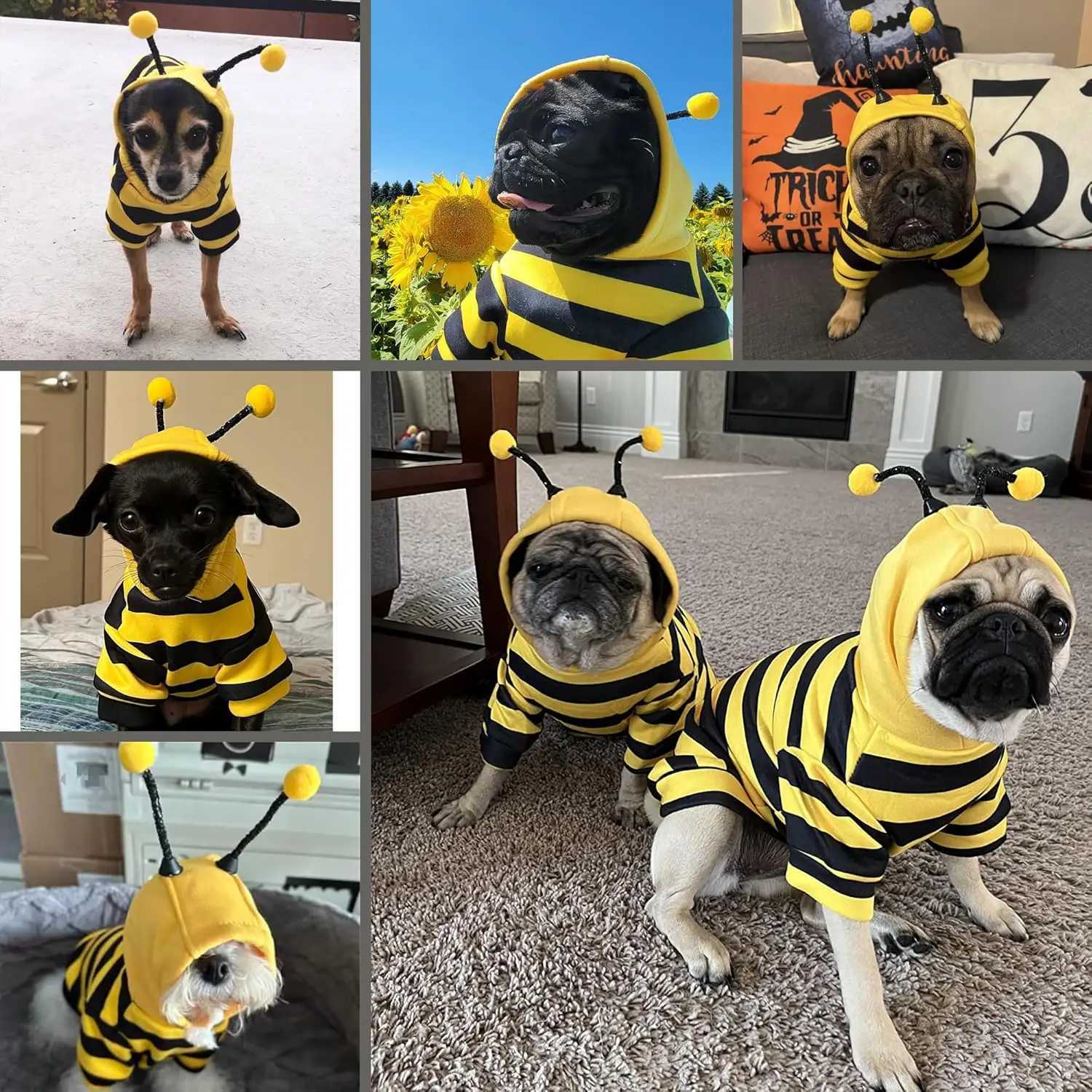 Cute Halloween Dog Bee Costume Autumn Winter Dog Hoodies for Small Medium Dogs Stripe Puppy Pullover Coat Hooded Pet Clothes C251030