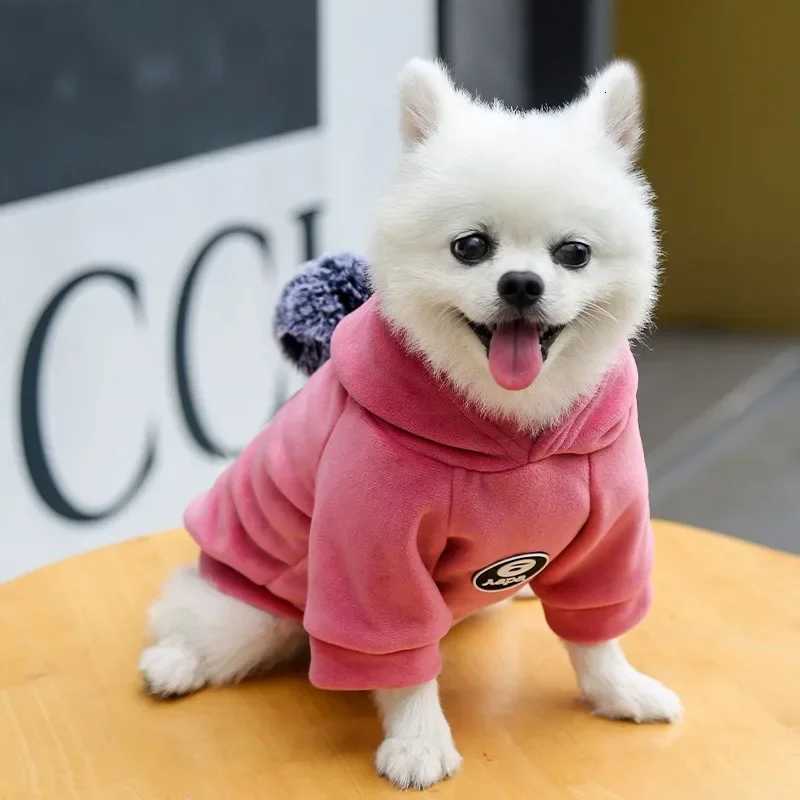 Autumn and Winter Hooded Dog Hoodie New Gold Velvet Thickened Warm Pet Cat Fighting Clothes Pet Accessories C251030