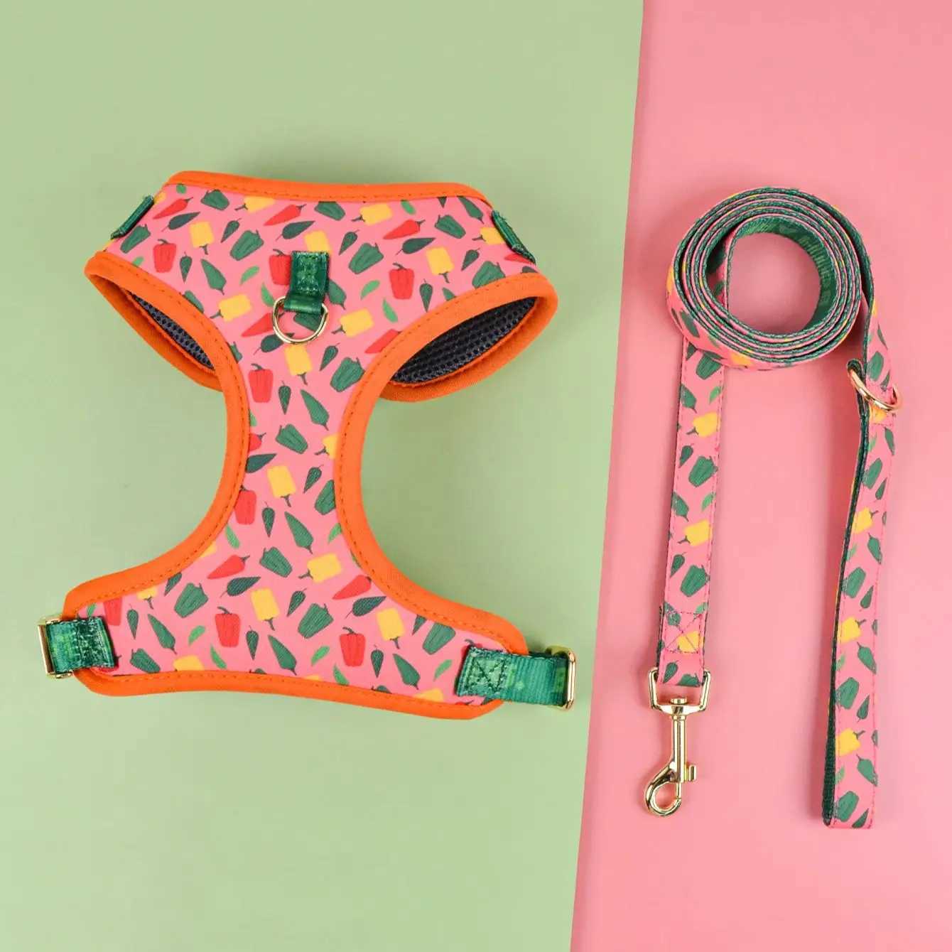 Valentines Day and New Years gift Cute Design Adjutable Luxury Designer Pet Harness 1 Pcs Color Matching Pet Dog Leashes J2511291