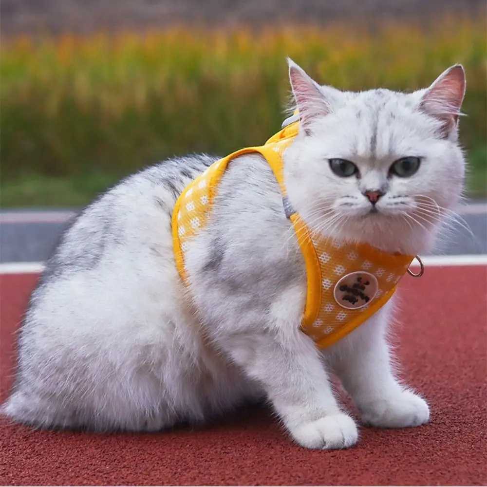 Comfortable Dog Harness Leash Breathable with Metal Buckle Pet Chest Vest Reflective Antibreakaway Cat Chest Strap J251129