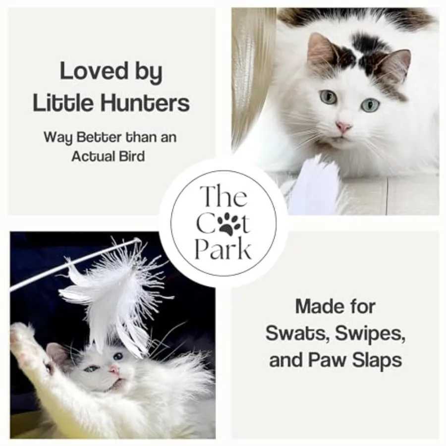 Cat Wand Toy Set 2 Feather Teaser Wands with 4 Interchangeable Refills 27 ible Wire Wooden Handle Interactive Play for Indoor C S251029{category}