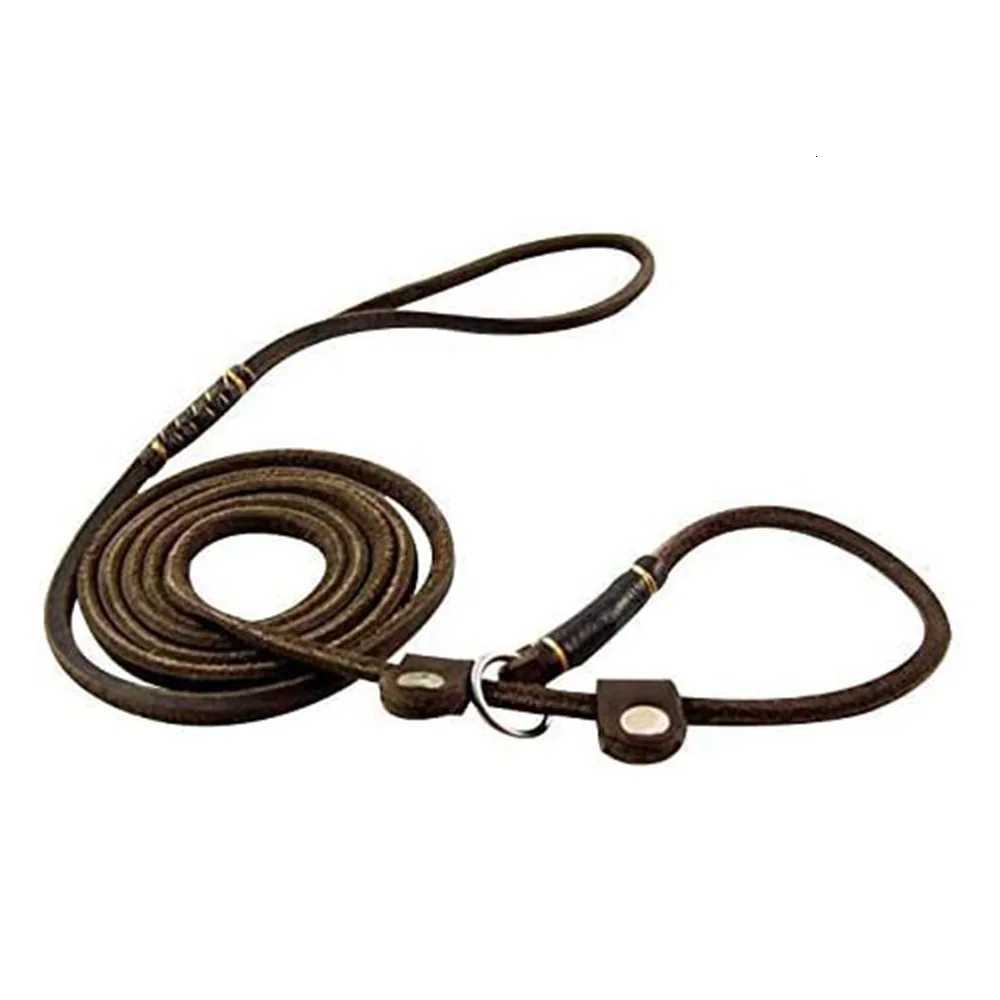 Genuine Leather Slip Dog Leash for Small Medium Dogs Puppy Pet Lightweight Soft Thin Sturdy Adjustable Slip Lead Dog Leash Brown C251031