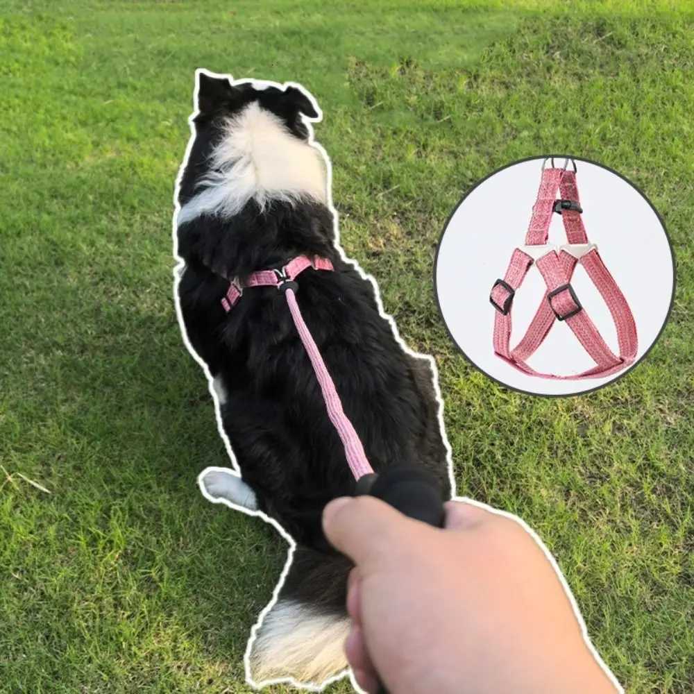 Adjustable Dog Harness and Leash Set Lightweight Escape Proof Pet Chest Strap Soft Comfortable Cat Collar Lead Leash Walking C251031