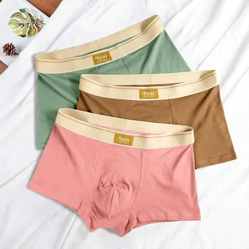 Men Underwear Cotton BoxerShorts Hombre Panties Man Breathable Underpants Sexy Sports Comfort Male Boxers Large Size L7XLT251031