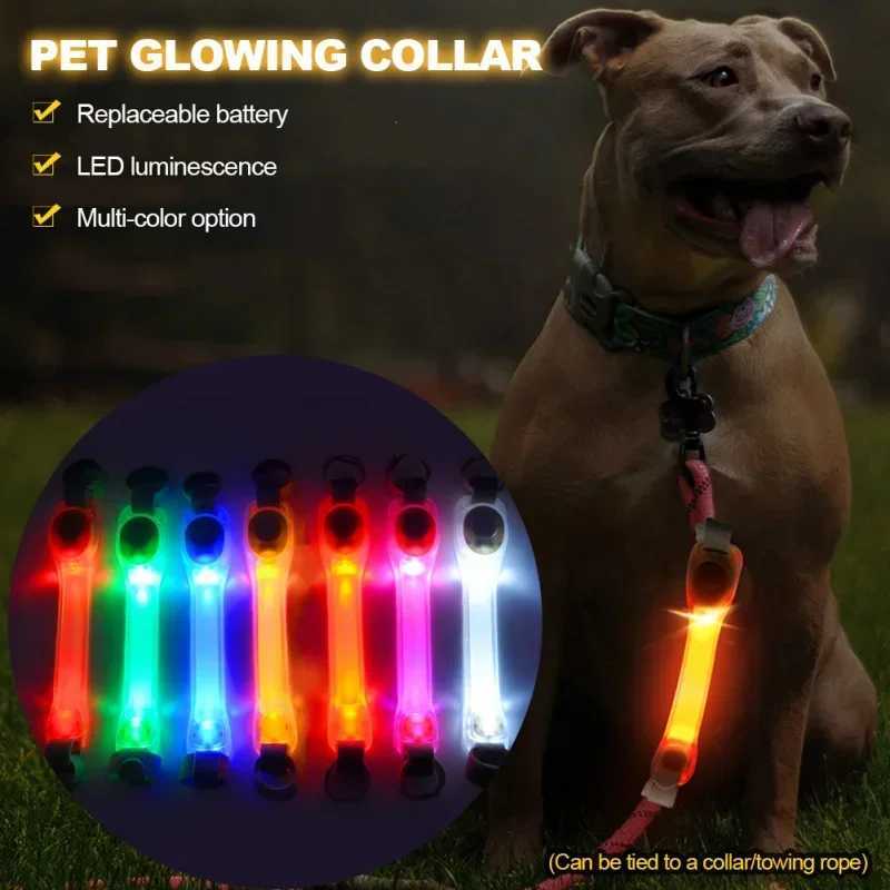 Waterproof Dog AntiLost Safety Glowing CollarMultiColor Pendants and OutdoorReady Flashing LED Light Strip Night Visibility C251031