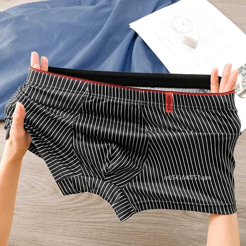 Stripe Boxers Briefs Men Underwear Knickers for Men Panties Underpants Shorts Fashion Lingerie Under Wear Sexy BoxerT251031