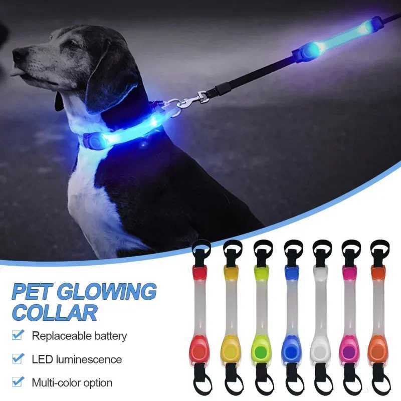 Waterproof Dog AntiLost Safety Glowing CollarMultiColor Pendants and OutdoorReady Flashing LED Light Strip Night Visibility C251031