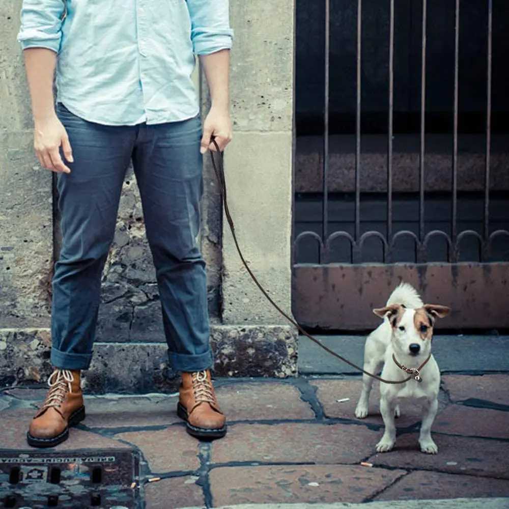 Genuine Leather Slip Dog Leash for Small Medium Dogs Puppy Pet Lightweight Soft Thin Sturdy Adjustable Slip Lead Dog Leash Brown C251031