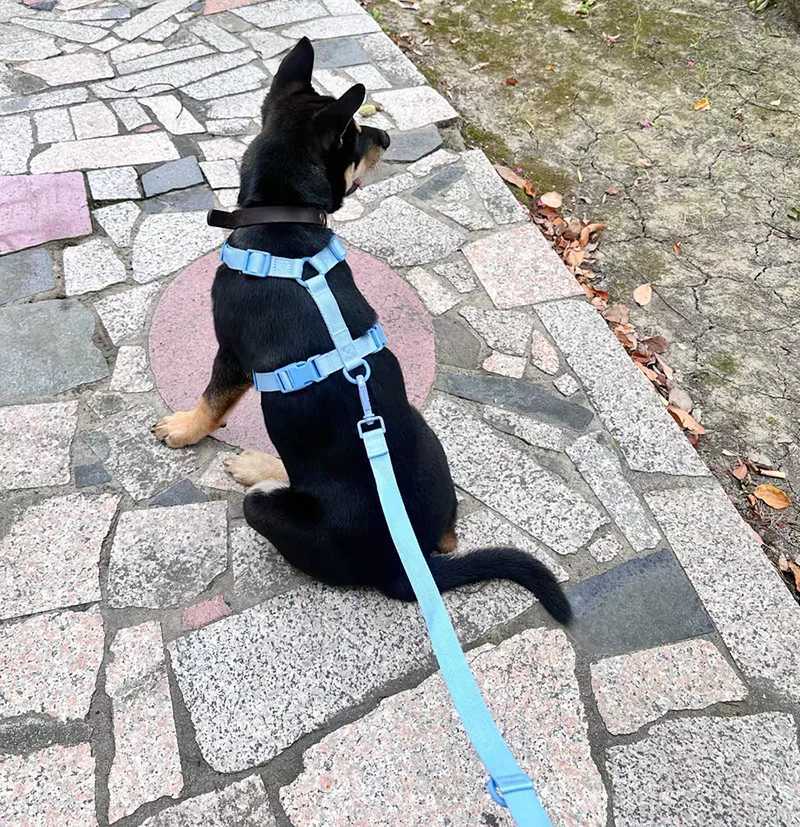 Macaron Series Pet Harness and Leash Set Adjustable Dog Harness Vest For Small Medium Dogs Leash Durable Fashionable Pet Supplie C251031