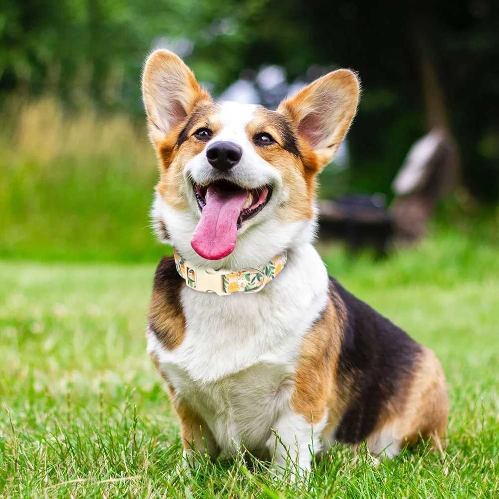 Cute Dog Collar Nylon Printed Pet Dogs Collars Adjustable Dog Necklace Flower Bee Print for Small Medium Large Dogs Chihuahua C251031