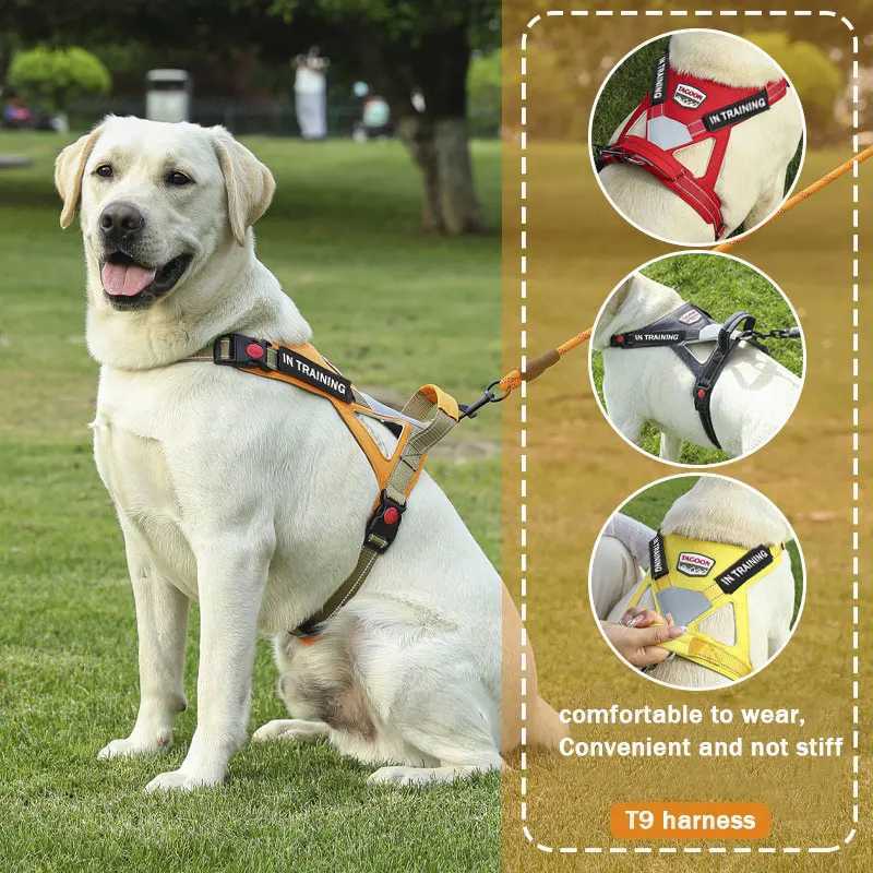 Personzed dog name dog harness no tension reflective breathable Labrador dog harness large dog outdoor walking training C251031