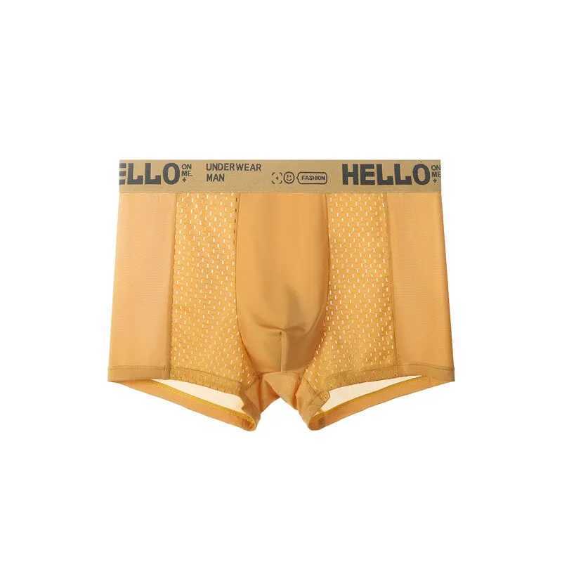 4Pcs Mens Underwear Ice Mesh Bacteriostatic Crotch Men Boxer Shorts Thin Breathable Men Underpanties Summer Ventilate PantiesT251031