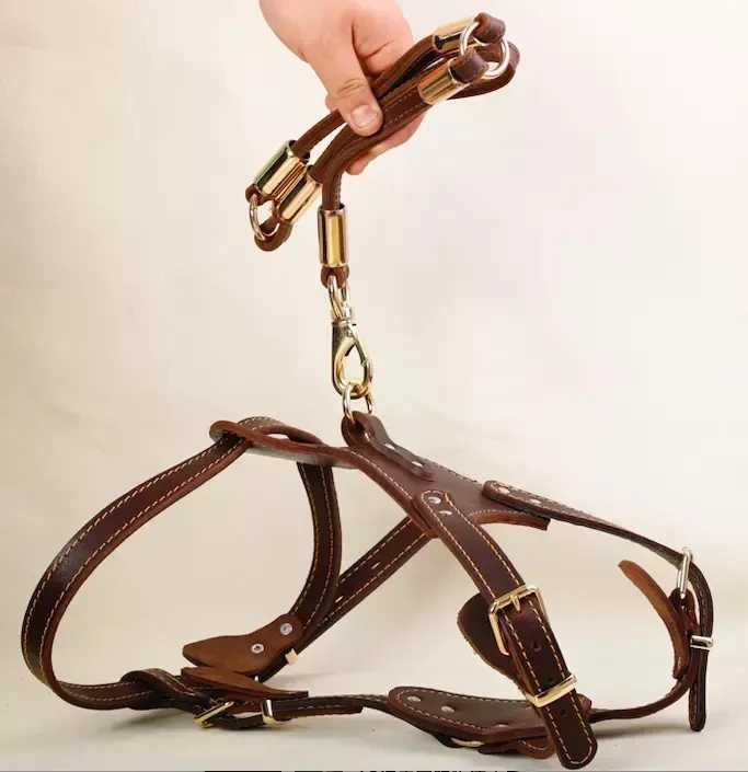 Handmade Band 7590cm Durable Soft Cow Leather Pet Dog Harness Chest Strap For German Shepherd Dogs C251031