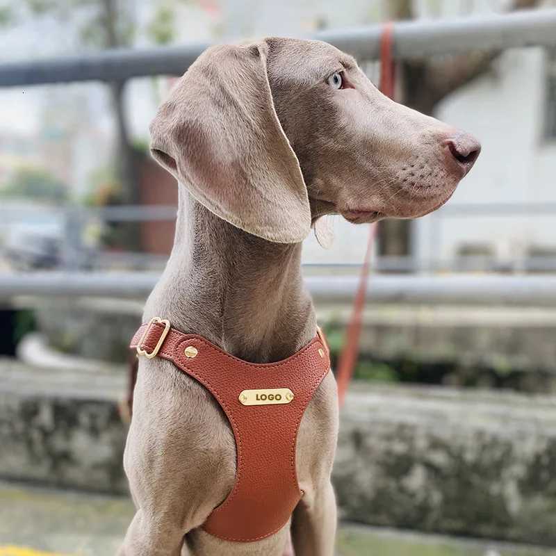 Loudik Wholesale Leather Pet Dog Adjustable Chest Strap Leash Cat Collar Set Medium and Small Dog Puppy Accessories Leash C251031