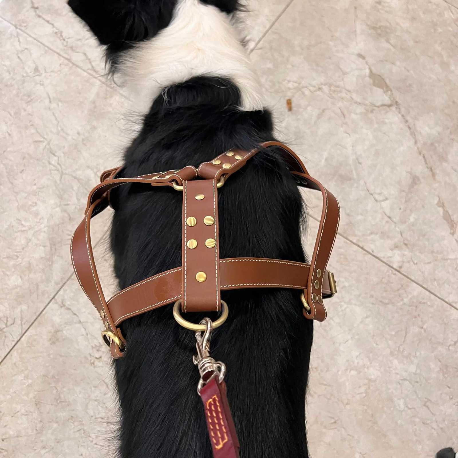 Cowhide leather harness for sled dogs Threering traction design Adjustable antiescape harness for large dogs C251031