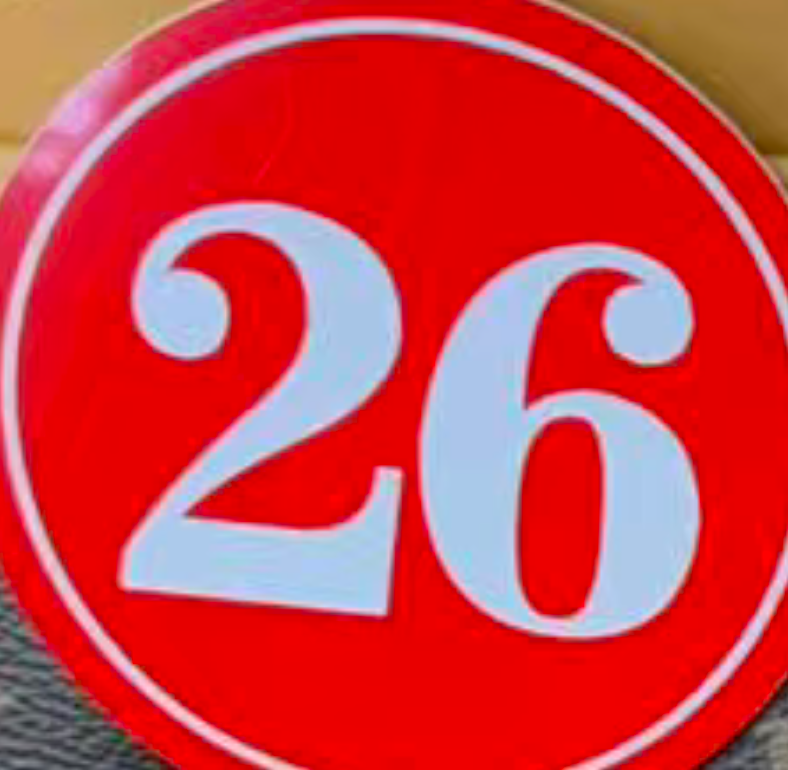 Premium Designer Shoulder Bag Sleek Design Ideal for Daily Use 00026