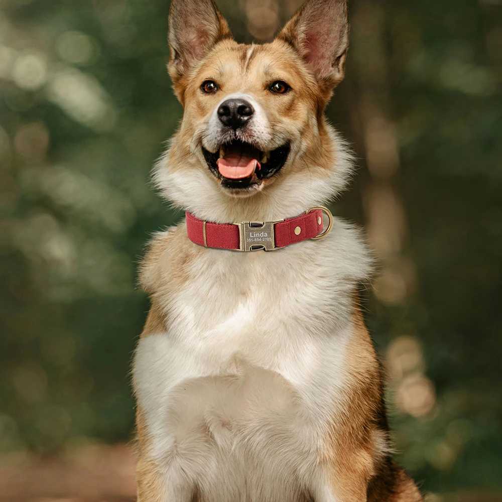 Personzed Dog Collar Durable Nylon Dogs Collars Customized Pet ID Name Buckle Necklace for Small Medium Large Dogs Bulldog C251031