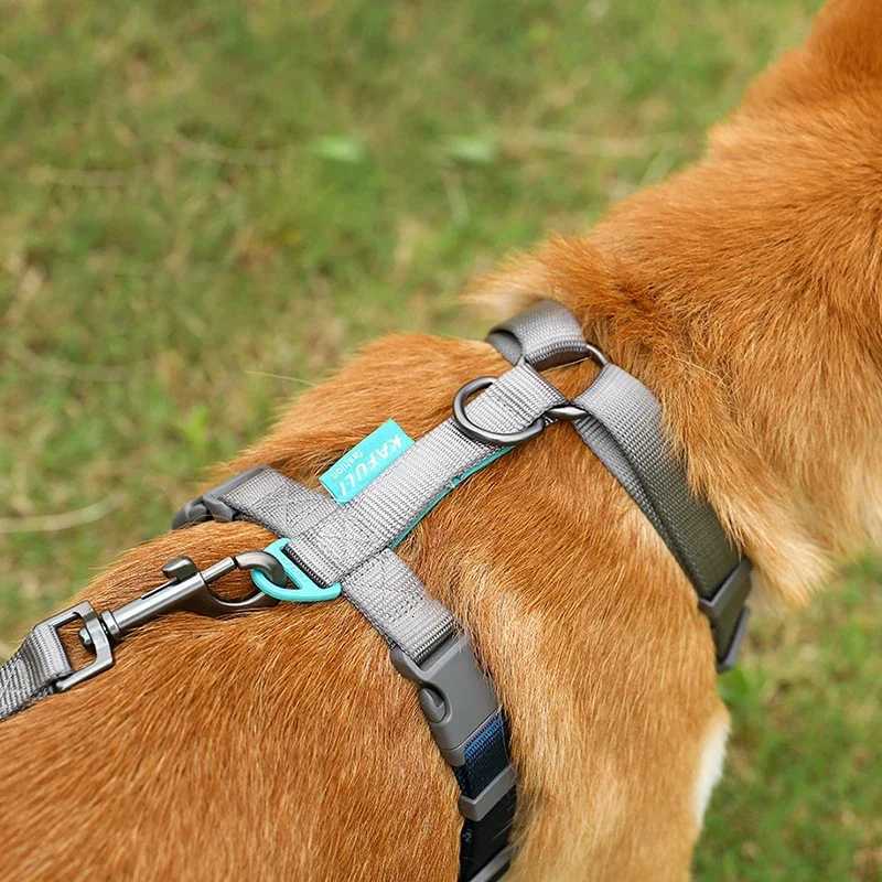 Pet Harness and Leashes Adjustable Dog Harness Medium Large Dog Walking Leash Explosionproof Punching Dog Chain Pet Supplies C251031