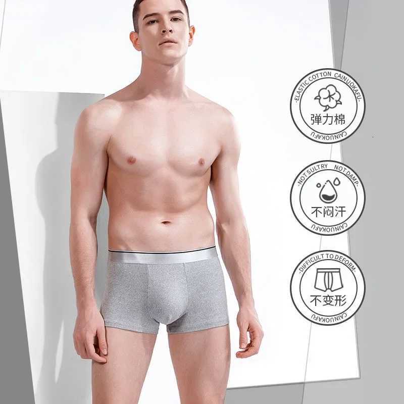 8Pcs Mens Underwears Men Panties Boxers Breathable Sexy Male Boxer Solid Underpants Comfortable Plus Size Mens UnderwearT251031