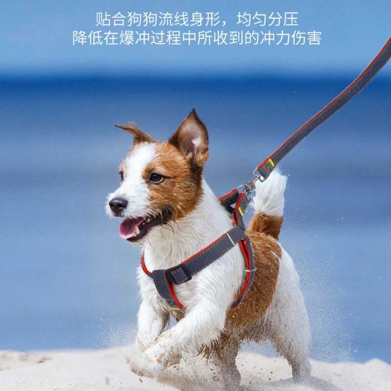 Pet Leash Denim Chest Strap Dog Leash Collar Set Dog Chain Pet Supplies C251031