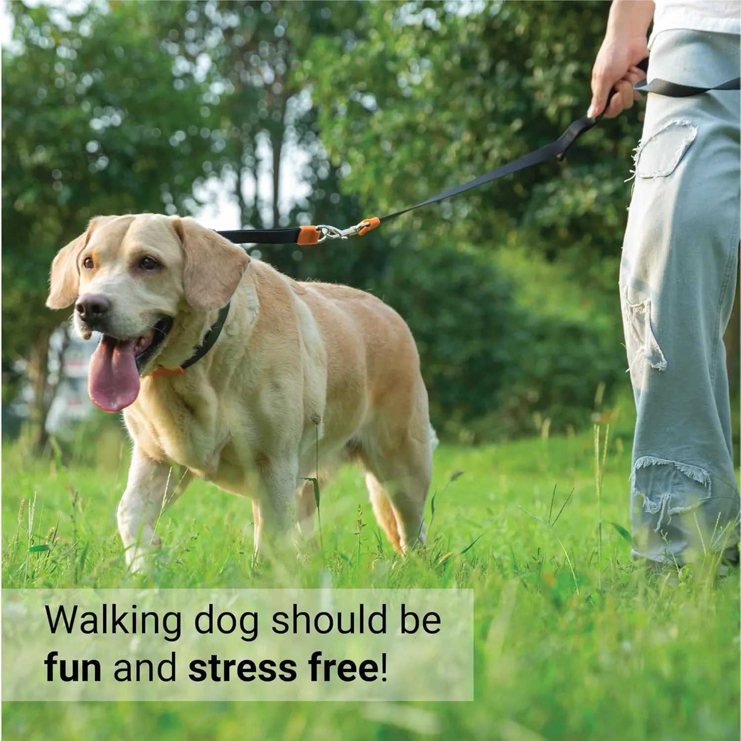 Dog Prong Collar for NoPull Training QuickRelease Buckle Adjustable Pinch Collar Dog Training Collar for Large Dog C251031