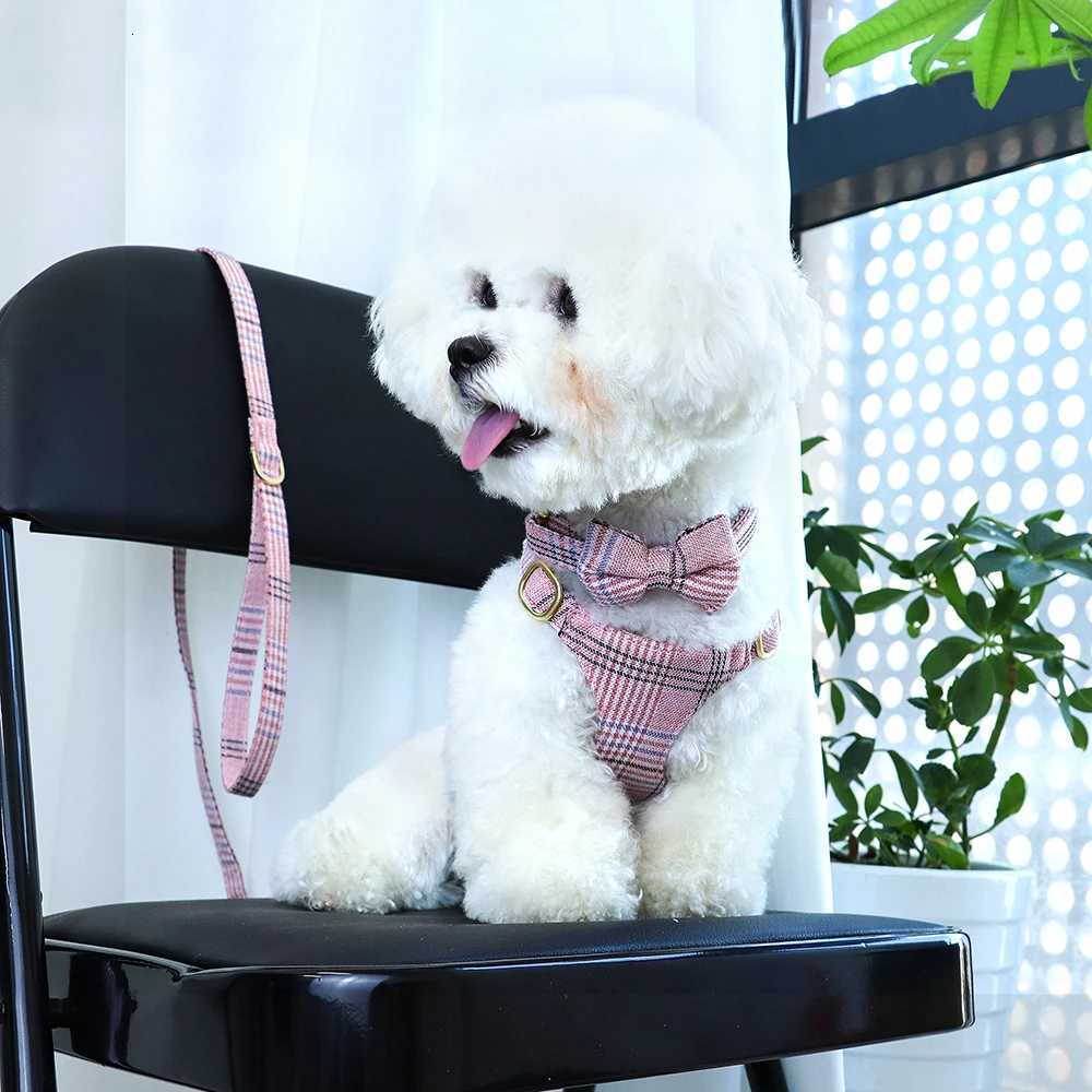 Nylon Dog Collar Harness Leash Set Adjustable Puppy Dogs Harnesses Vest Cute Bowknot Pet Collars With Lead for Small Medium Dogs C251031