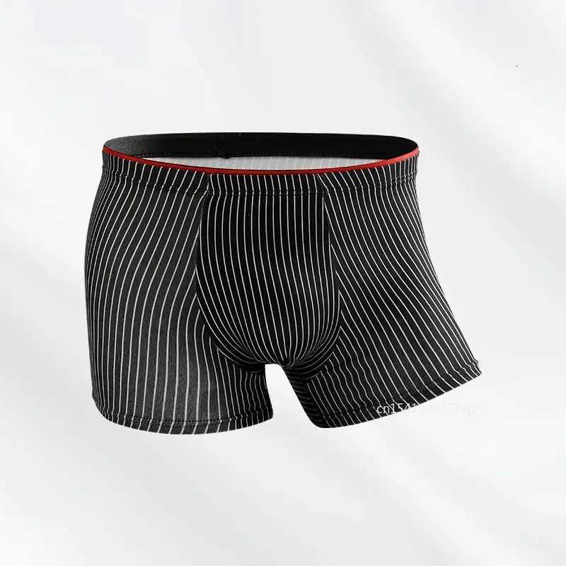 Stripe Boxers Briefs Men Underwear Knickers for Men Panties Underpants Shorts Fashion Lingerie Under Wear Sexy BoxerT251031