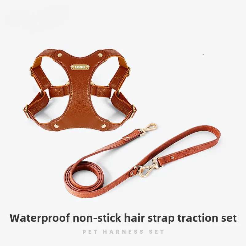 Loudik Wholesale Leather Pet Dog Adjustable Chest Strap Leash Cat Collar Set Medium and Small Dog Puppy Accessories Leash C251031