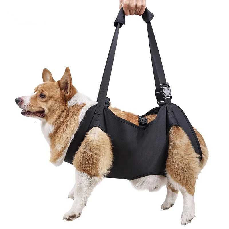 DogAssisted Rehabilitation Exercises for Elderly Disabled Dogs Take You Upstairs and Help with Carrying Pet Backpacks C251031