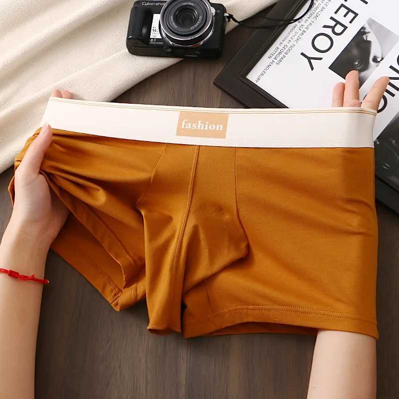 New product opening bullet separation mens underwear boxers cotton sexy personality elephant underwear boys boxer shortsT251031