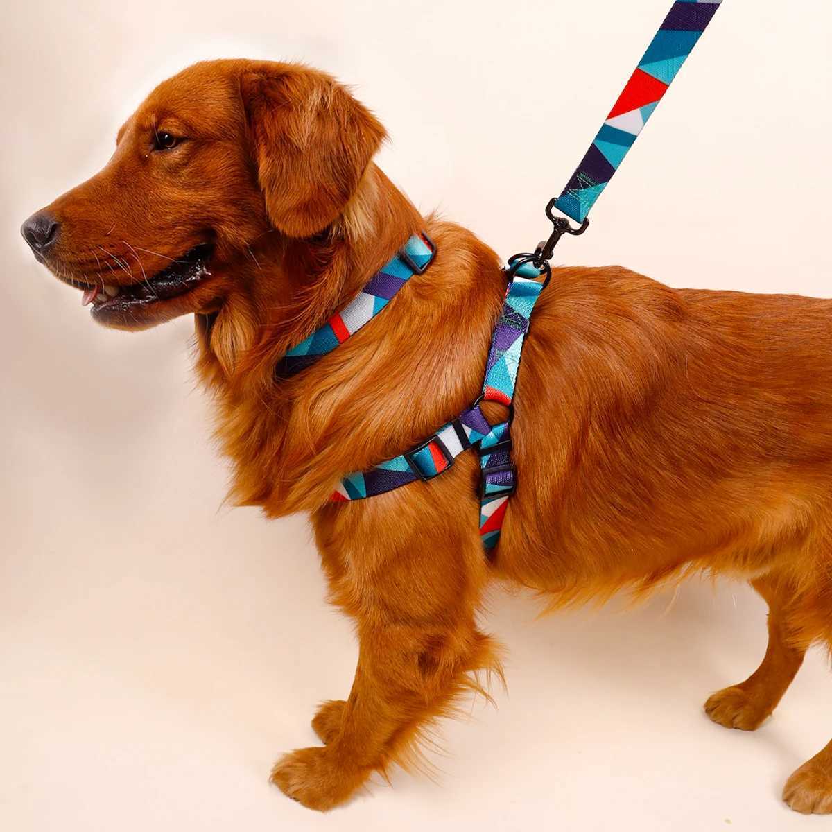 1PC Pet Abstract Chest And harness Set Dog Webbing Leash Dog Walking Leash Dog Collar Threepiece Set C251031