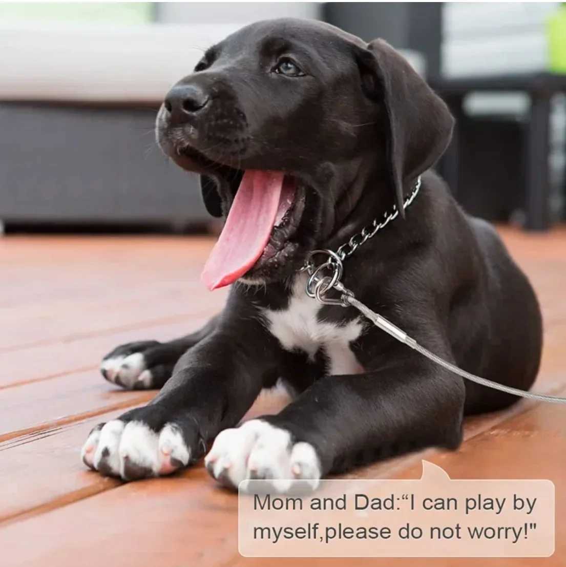 46m9m15m Double Leashes Stainless Steel Dog Tie Strap Cable Leash Raction Rope with Metal Buckle Steel Wire Collar Outdoor C251031