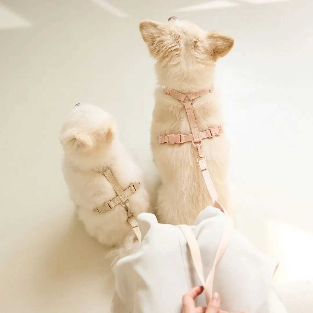 Macaron Series Pet Harness and Leash Set Adjustable Dog Harness Vest For Small Medium Dogs Leash Durable Fashionable Pet Supplie C251031