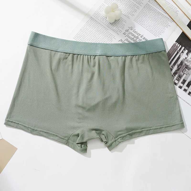 3 PcsLot Mens Letter Boxers Briefs Underwear Comfortable Underpants Shorts Sexy Gifts for Man PantiesT251031