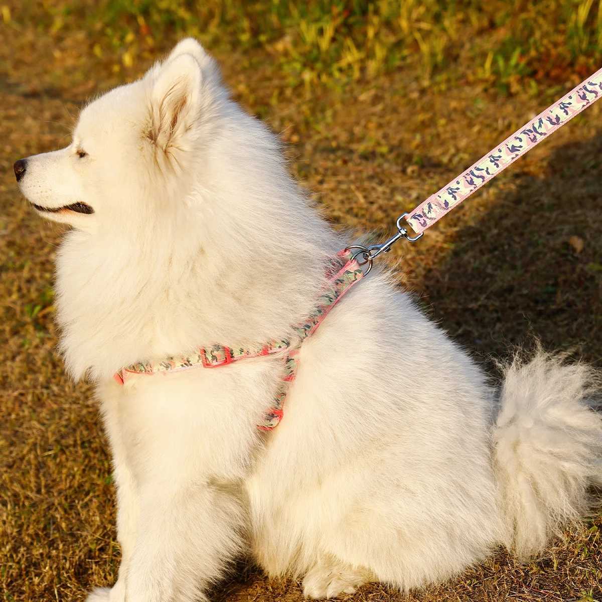 A set of camouflage reflective chest and harness set for small and mediumsized dogs to go out for a walk and a lead rope for ca C251031