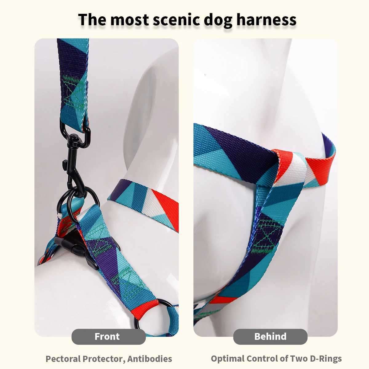 1PC Pet Abstract Chest And harness Set Dog Webbing Leash Dog Walking Leash Dog Collar Threepiece Set C251031