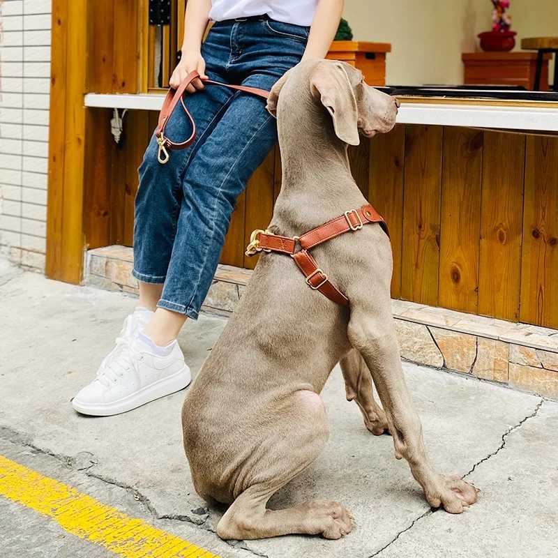 Loudik Wholesale Leather Pet Dog Adjustable Chest Strap Leash Cat Collar Set Medium and Small Dog Puppy Accessories Leash C251031