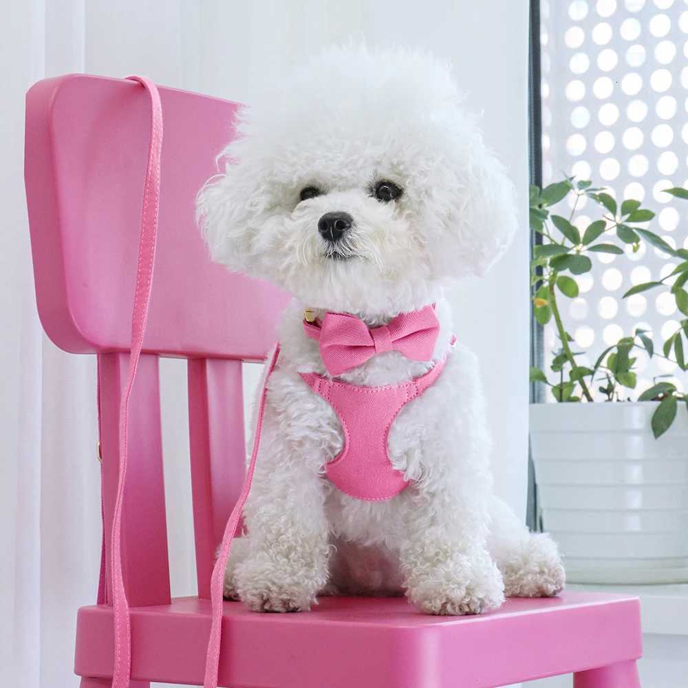 Small Dog Collar Harness Leash Set Cute Dog Collars With Bowknot Adjustable Pet Harnesses Vest for Small Medium Dogs Chihuahua C251031