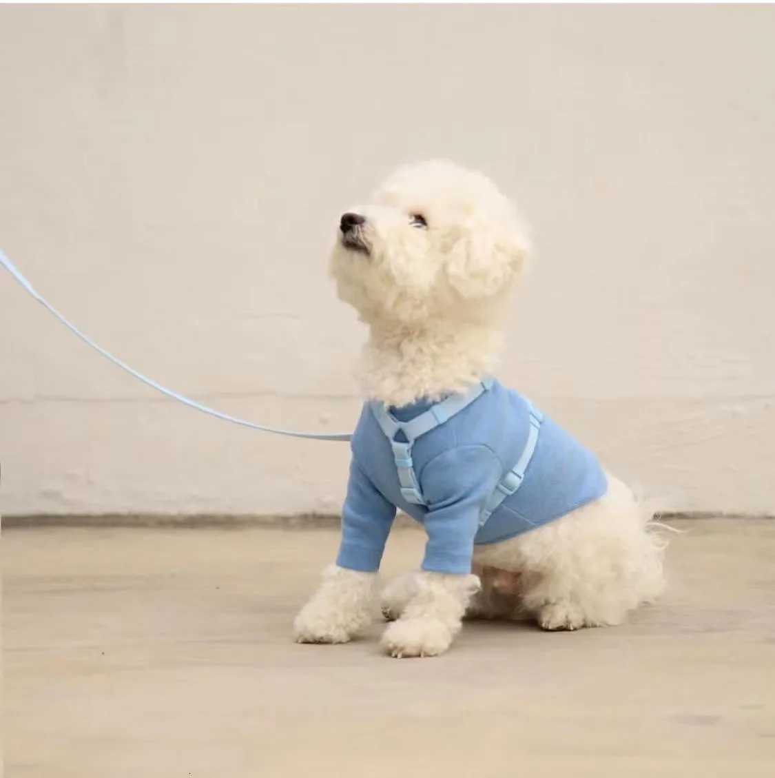 Macaron Series Dual Head Pet Harness Leash Set Adjustable Dog Harness Vest For Small Medium Dogs Leash Fashionable Pet Supplie C251031