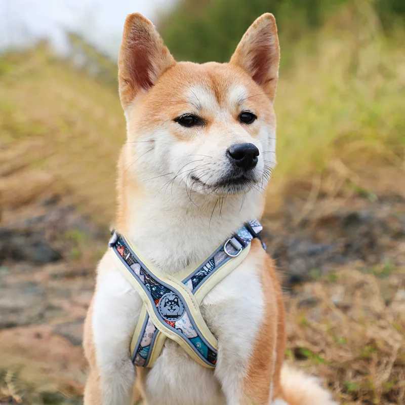 New Pets Dogs Accessories Luminous Adjustable Harness For Dogs Puppy Vest Collar Leash French Bulldog Medium Small Large Dog C251031