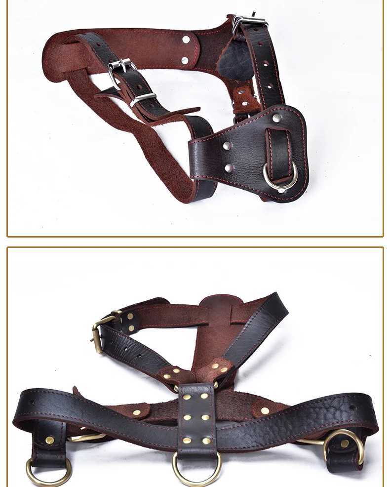 Natural leather dog harness dog leather collar with adjustable chest circumference suitable for Samoyed Husky Alaska Snow Dog C251031