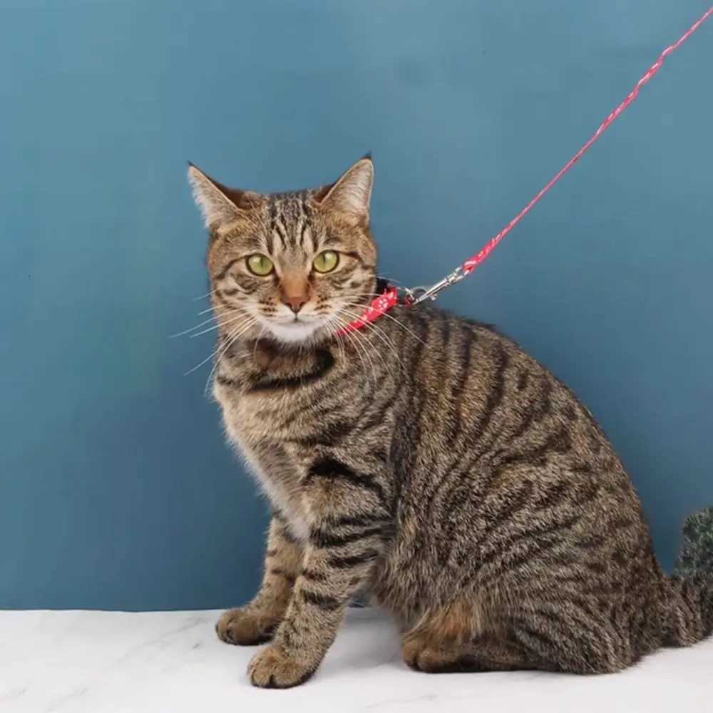 Dog Paw Print Pet Traction Rope with Collar Breathable Puppy Collar Set Adjustable Pet Walking Lead Rope Cat Traction Rope Pet C251031